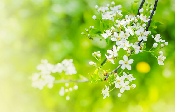 Tipps fuers Praktizieren von Selbstmitgefuehl
